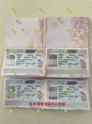 2025�������ձ��̄�(w��)���C�������