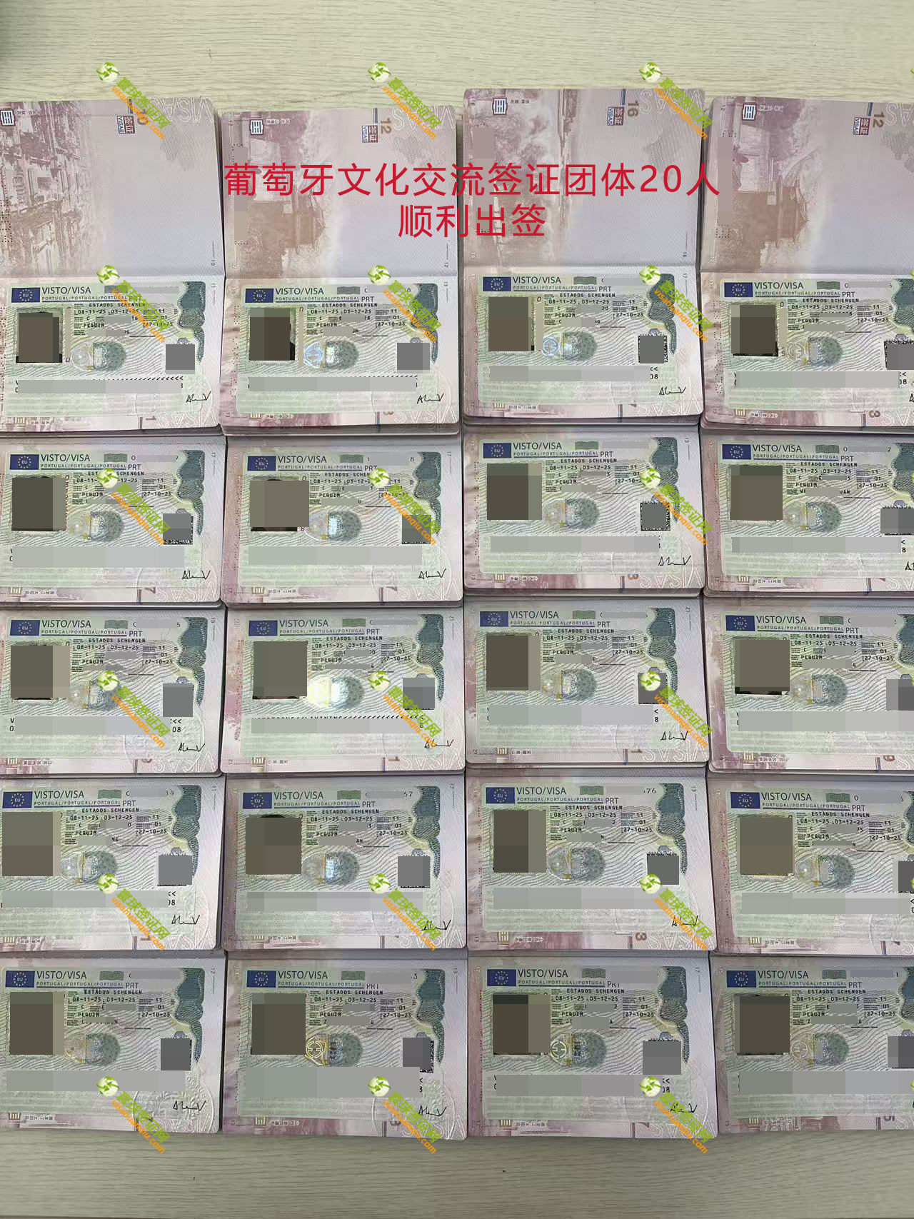 ���������C�(y��)